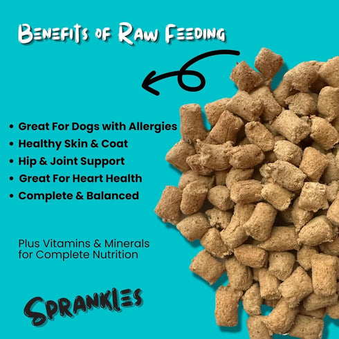 Freeze Dried Dog Food for Small & Large Breeds, 16 Oz Beef Dog Food Toppers, Grain Free & All Natural