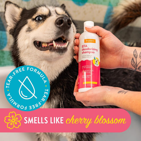 Essential Fatty Acid (EFA) Shampoo and Conditioner for Pets - 12oz Deodorizing Cherry Blossom Scent, Tearless, Soapless