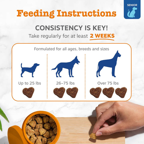 Immune 60ct Zesty Paws Senior Dog Multivitamin Treats - Glucosamine for Dogs + Digestive Enzymes & Probiotics - Grain