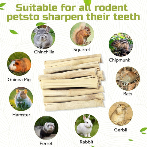 StyEdEk 430g Chinchilla, Natural Sweet Bamboo Chew Toys Chew Sticks Bamboo Sticks Teething Toy for Rabbit, Bunny