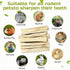 StyEdEk 430g Chinchilla, Natural Sweet Bamboo Chew Toys Chew Sticks Bamboo Sticks Teething Toy for Rabbit, Bunny
