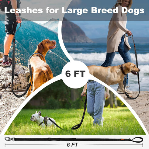 Laqibak Heavy Duty Dog Leash, Double-Sided Reflective, 6 FT with Double Handle, Lockable Safety Carabiner for Medium &