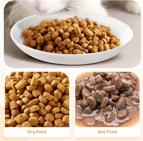 Ceramic Cat Food Plates, Cat Wet Food Bowls/Whisker Fatigue Cat Dishes & Shallow Bowls for Kittens and Small Animals
