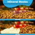 JOR Calcium Rocks for Shrimps, Isopods, Crayfish, Parrot and Snails, 100 Grams