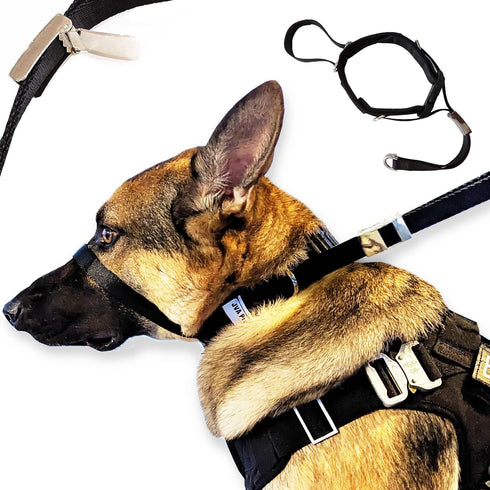 Dog Headcollar for Large Dogs (L), No-Pull Collar that Works Better than Under Head Pull Collars