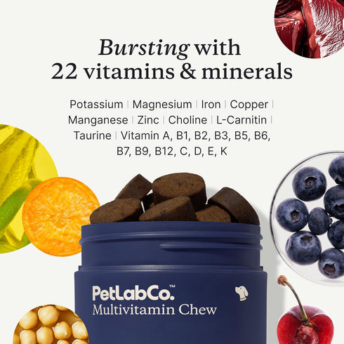PetLab Co. 22 in 1 Dog Multivitamin - Supports Immune Response, Skin, Coat, Joints & Overall Health, Chewable Pork