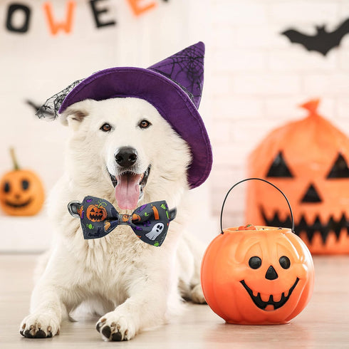 2 Pack Halloween Dog Collar with Bowtie - Holiday Jack-O-Lantern and Pumpkin Collar for Small Medium Large Dogs