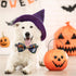 2 Pack Halloween Dog Collar with Bowtie - Holiday Jack-O-Lantern and Pumpkin Collar for Small Medium Large Dogs