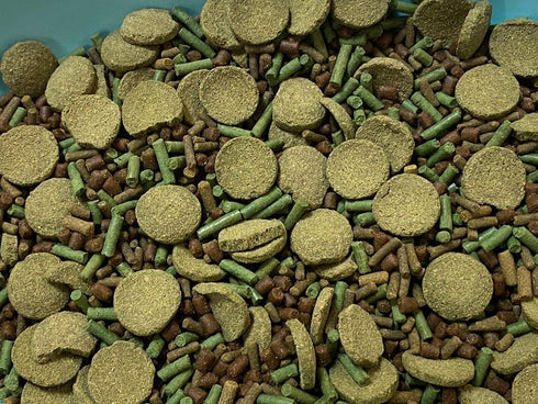 Aquaticblendedfoods Pleco Food,Veggie Mix,Krill,Spirulina,Brine Shrimp,Cory Cats,Bottom Feeders,Snail,Shrimp,Plecostomus,Wafers,Garlic & Kelp A16 (16oz - 1