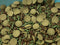 Aquaticblendedfoods Pleco Food,Veggie Mix,Krill,Spirulina,Brine Shrimp,Cory Cats,Bottom Feeders,Snail,Shrimp,Plecostomus,Wafers,Garlic & Kelp A16 (16oz - 1