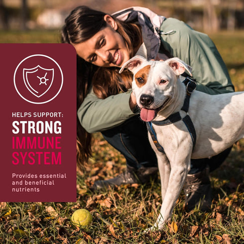 VetIQ Multivitamin Supplement for Dogs, Supports Brain Function, Immune System, Hickory Smoke Flavor, 60 Count