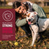 VetIQ Multivitamin Supplement for Dogs, Supports Brain Function, Immune System, Hickory Smoke Flavor, 60 Count