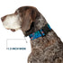 Buckle-Down Plastic Clip Collar, Stitch Expressions, Hibiscus Collage Green-Blue Fade, 1" Wide, Medium