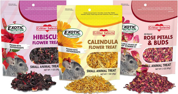 Exotic Nutrition Flower Treat 3 Pack - Healthy Assortment of Hibiscus, Calendula, Rose for Squirrels, Guinea Pigs,
