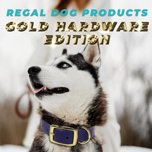 Regal Dog Products Small Light Blue Waterproof Dog Collar with Gold Buckle, Durable and Comfortable Design