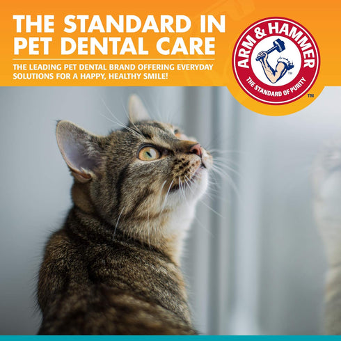 Hammer 3 Set Flavor,2.5 Arm & for Pets Dental Kit for Cats | Eliminates Bad Breath | Piece Includes Cat Toothpaste, Cat