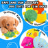 No Stuffing Dog Toys 10 Pack | Squeaky Crinkle Dog Toys for Small Medium Dogs, Interactive Teething Chew Toys