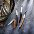 Opinel Effile Slimline Series Folding Fillet Knife with Virobloc Locking Collar and Sustainably Harvested Wood Handles