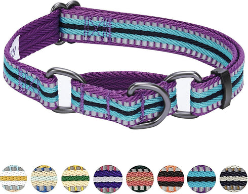 Blueberry Pet 3M Reflective Multi-Colored Stripe Martingale Dog Collar, Small, Violet and River Blue, Heavy Duty