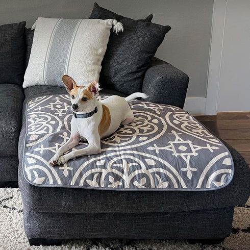(2 Pack) 36"x36" Paw Inspired Designer Print Dog Pads | Premium Washable Pee Pads | Reusable Puppy Pads for Potty