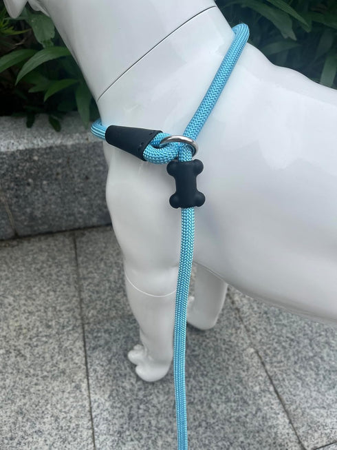 Slip Lead Dog Leash (6ft), Strong Nylon Rope Anti-Choking Outdoor Training Lead for Small Medium Large Dogs, Light Blue