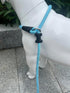 Slip Lead Dog Leash (6ft), Strong Nylon Rope Anti-Choking Outdoor Training Lead for Small Medium Large Dogs, Light Blue