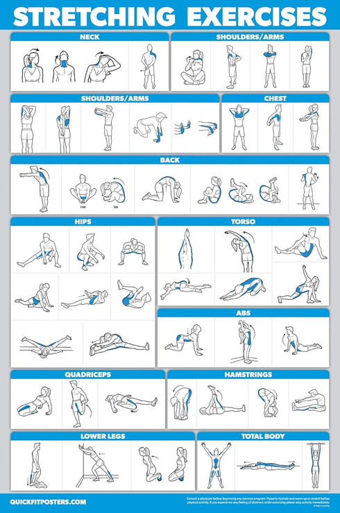 Palace Learning 3 Pack Workout Charts: Bodyweight Workouts, Stretching Exercises, Sliding Bench