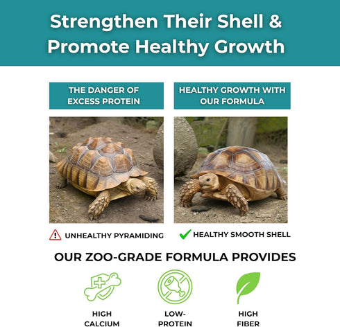 2.5 oz 2 Baby Sulcata Food Powder with Calcium - Scientifically Formulated Diet for Healthy Growth - High Fiber Low