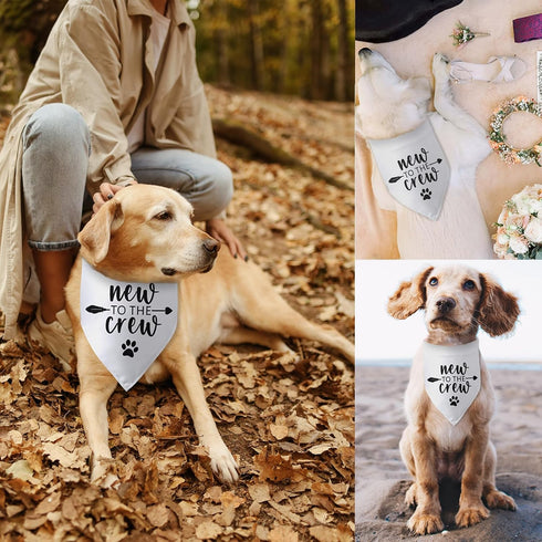 New to The Crew Dog Bandana New Puppy Announcement Gift for New Owners Puppy Bandana Dog Owner Gifts Triangle Bibs