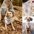 New to The Crew Dog Bandana New Puppy Announcement Gift for New Owners Puppy Bandana Dog Owner Gifts Triangle Bibs