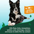 96 oz Vet's Best Natural Flea & Tick Home Spray for Dogs Cotton Spice Scented Indoor Pest Control Spray Natural Flea