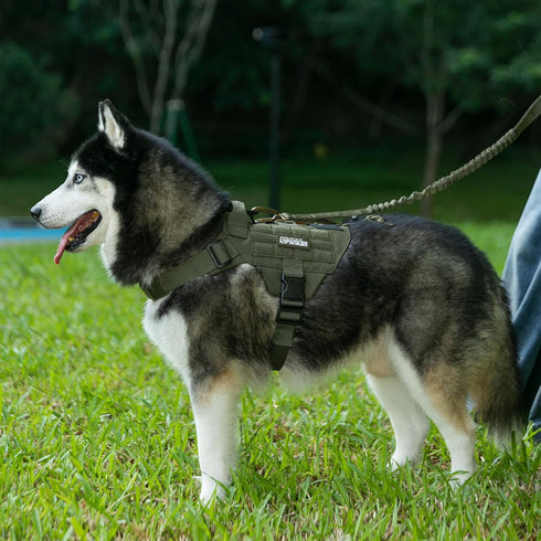 EXCELLENT ELITE SPANKER Tactical Military Dog Harness, Adjustable No-Pull Training Vest with Handle (Gry-S)