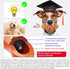 Hot Dog Squeaky Dog Toy, Interactive Rubber Chew Toy for Aggressive Chewers, Humorous Gift for Dog Lovers