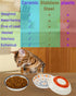 Nonslip Cat Bowls - Ceramic Whisker Friendly Shallow Cat Food Dish, 3PCS Anti Whisker Fatigue, Nonskid