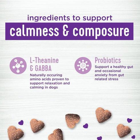 45 Count Wellness Tasty Cheese Flavored Soft Chews Calming Supplements for Dogs