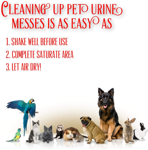 Instantly Pet Urine Odor Remover - Cleaner & Eliminator for Carpets, 32 oz