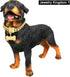 Jewelry Kingdom Gold Dog Chain Collar with ID Tag - 18K Stainless Steel Cuban Link (15MM, 26")