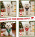 Ittokis 4 Pack Set Dog Bandana Christmas Scarf Bibs Kerchief Pet Christmas Costume Xmas Holiday Bandanas for Medium