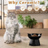 Ceramic Raised Cat Bowl,Tilted Raised Cat Bowl Anti Vomit Cat Bowls for Indoor Cats Whisker Friendly Pet Feeder for Cats Puppies, Microwave and Dishwasher Safe