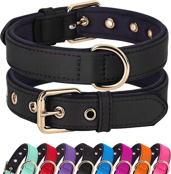 Didog Waterproof Dog Collar with Soft Padding, Lightweight and Breathable for Medium Dogs, Black, Large