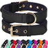 Didog Waterproof Dog Collar with Soft Padding, Lightweight and Breathable for Medium Dogs, Black, Large