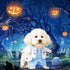 Dog Cat Doctor Costume - Funny Halloween Costumes for Small Dogs & Cats, Cosplay Party Outfit (Doctor, X-Small)