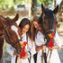 Hungdao 2 Pcs Horse Toys - 11 Inches Latex Rubber Chicken Dog Toy to Reduce Separation Anxiety, Screaming Chicken Toy