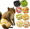 Magnoloran 2PCS Washable Squirrel Diapers - Reusable Small Pet Diapers with Strong Hook