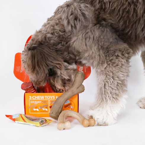 Nylabone Dog Toy Gift Box - Includes 3 Strong Chew Toys and 1 Dog Treat, Chew Toys for Large Dogs, Large/Giant (4 Count)