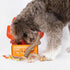Nylabone Dog Toy Gift Box - Includes 3 Strong Chew Toys and 1 Dog Treat, Chew Toys for Large Dogs, Large/Giant (4 Count)