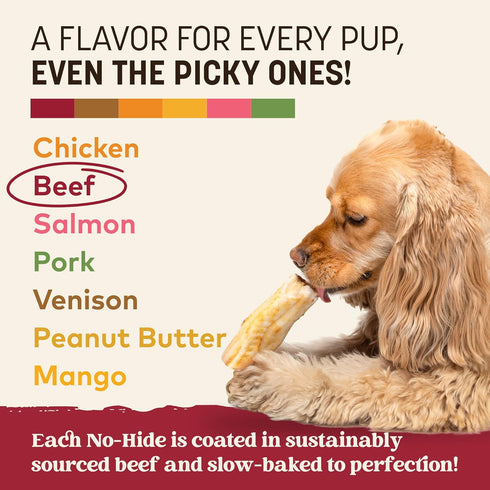 6 Count Earth Animal No Hide Chews - Long Lasting Rawhide Free Small Dog Chews Rolls, Beef