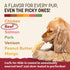 6 Count Earth Animal No Hide Chews - Long Lasting Rawhide Free Small Dog Chews Rolls, Beef