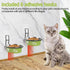 Elevated Cat Bowls, Wall Mounted Stainless Steel Food Dish, Nonslip No Spill Pet Feeding Bowls (2 Packs, Green)