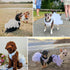 Dog Wedding Dress Bride Outfit, Pearl Necklace and Rose Pet Princess Dress for Puppy Dog Cat (Large)